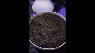 Ghost client soap dm if you get mind (+2349152244868)