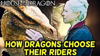 How Dragons Choose Their Riders – How Much Targaryen Blood Is Needed For Dragon Bond – Explained!