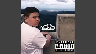 THE FRANCHISE REPORT