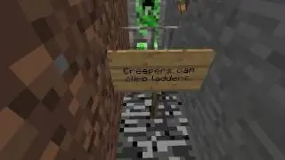 How to die in Minecraft Part 29: Failing to Prove a Fact