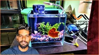 அருமையான Betta tank செட்டப் - Perfect Betta tank setup/Scape with fully automatic water filter|Tamil