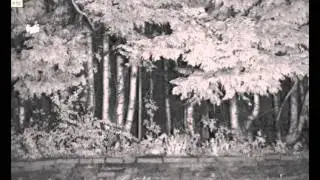 Clarius In Action Video