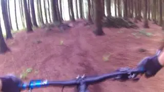 Bail at Macc Forest