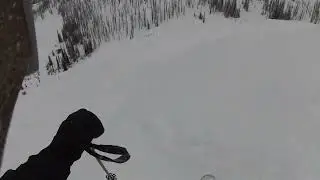 Great Northern Cat Ski BC Feb 2024