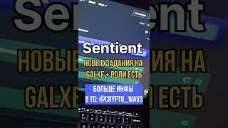 Sentient - таски на galxe + роли