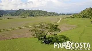 ParaCosta --- Learn to Fly in Paradise!