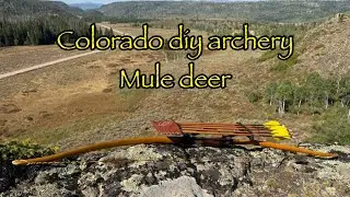 2025 Colorado archery mule deer hunt / family vacation 
