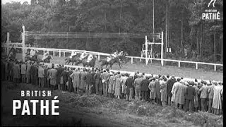 The Richest Race (1956)