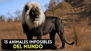15 animales que no creer&aacute;s que existen en el mundo