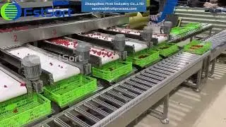 Cherry tomatoes sorting and packing machine; fruits grading sorting machine; Filling system;