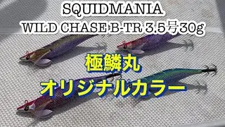 極鱗丸オリジナルカラー ティップラン エギ SQUIDMANIA WILDCHASE B-TR紹介！！