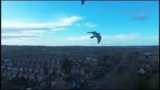 Drone Flight Over Nottingham &ndash; Moody Evening Clouds & Stunning Views&rdquo;