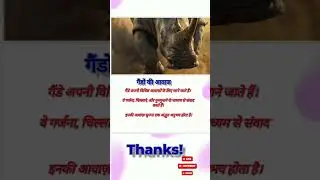 SOUND OF RHINO 🦏#viral #shorts #tranding #rhino #wildlife