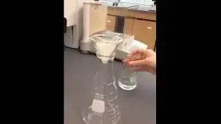 How to Folding Filter Paper