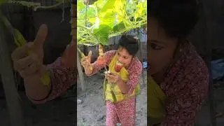 #reels #funny #comedy #trending #viral #video #ytshorts #youtubeshorts #foryou #comedyshorts