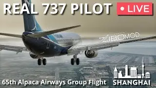 Real Airline Pilot LIVE | 65th Alpaca Airways Group | Shanghai (上海) Fly-In  | ZIBO MOD in XP12
