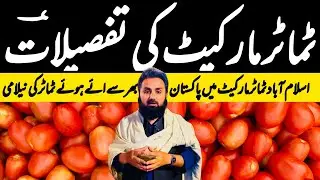 Today Tomato Market Price | Fresh Tomato Rates & Market Update | 6 January 2026 | Islamabad Mandi 