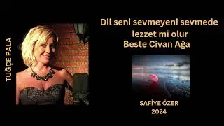 Dil seni sevmeyeni sevmede lezzet mi olur - Tuğçe Pala