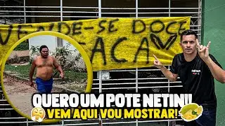 ERIK COLOCOU PLACA NA FRENTE DA CASA DO GALO, GALO PEGOU AR E RASGOU | GALO CEGO