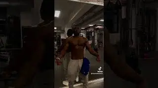 Les muscles sont des tissus du corps constitu&eacute;s de fibres qui ont la capacit&eacute; de se contracter, prod
