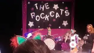 Amazin acro Cats Austin Feb 2018 pt 3 Rock Cats