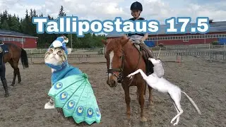 Tallipostaus 17.5.2018 [ratsastusta, maastoilua, Wendyn hoitoa ja Arabellan letityst&auml;] Lue kuvaus!