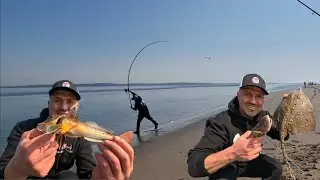 MIX BAG AT TALACRE BEACH - NORTH WALES | MASTERFISHERMAN | SEA FISHING UK