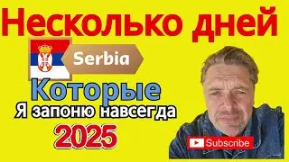 Жизнь в Сербии 2025 июль август. 