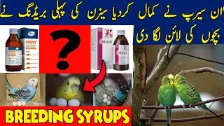 4 best Breeding syrups for birds || Best vitamin, minerals & calcium for birds breeding