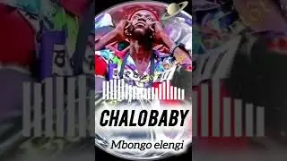 Chalo baby la voix du ma&icirc;tre mbongo elengi