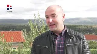 RTV HB | U Hercegovini počela berba maslina