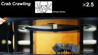 Versatile Motion Generation of Magnetic Origami Spring Robots in the Uniform Magnetic Field