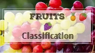 Classification of fruits । Types of fruits । फलों का वर्गीकरण। #horticulture #agriculture