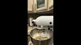 Homemade Cinnamon Rolls 
