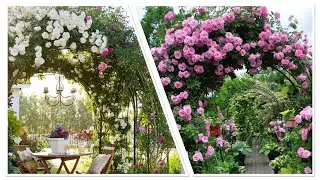 Цветочные арки для дачи и сада.Идеи для дачи.Flower arches for cottages and gardens.