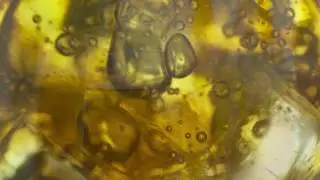 Pure Leaf: National Iced Tea Day