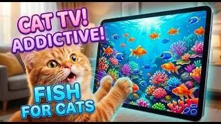 Best Games for Cats! 🐠 Beautiful Fish & Coral Reef Aquarium (Cat TV) #cattv