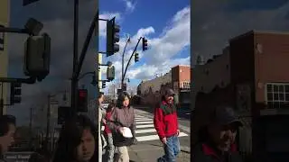 Lumiere Style Film