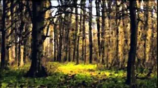 Wilhelm Paul Richter: Suita Nr  2 Carpatica