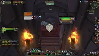 Rdruid + Spriest VS Bdruid + Wmonk