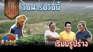 วินฟาร์มวันนี้ เริ่มมีรูปร่าง (Update WYNN Farm) - สูงเตี้ยเรี่ยดิน EP 28