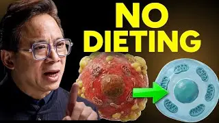 This Ends Mitochondrial Dysfunction (in days NOT years)