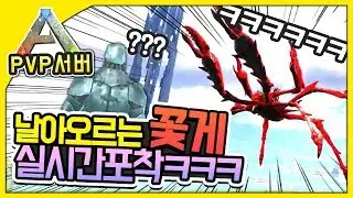 💥날아오르는 꽃게! 실시간 포착ㅋㅋㅋ💥ㅣ아크 더센터 PVP서버 39화