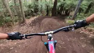 Barefoot Wizzard - Warburton MTB Park