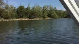 White Bass Fishing - Elk River / Wheeler Lake - Athens, AL