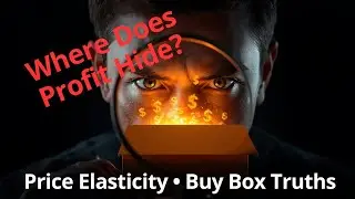 Where Does Profit Hide? Amazon Repricing, Price Elasticity & Buy Box Truths