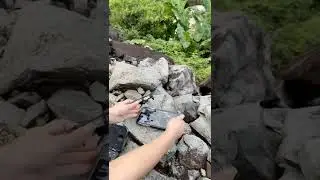 Best mini HD camera drone under 1200 | RC Drone Mini Selfie Pocket Drone Quadcopterwith Camera