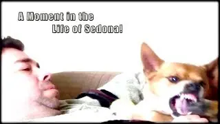 Moment in the Life of Sedona! - StevenOchoa3 HD