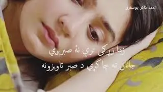 زما بی وفا جانانه: غمجنی مصری 💔❤️‍🩹 #0093 #afg #سندره #غمجن #غم #مصری #تپی #جانان #افغان #افغانستان 
