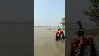Big arapaima fish catch by cast net fishing #shorts #fishingvideo #fishinglife #bigfish #arapaima